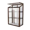 Greenspot Mini Drivhus til Altan og Terrasse 80 x 42 x 120 cm - Altandrivhus til overvintring af urter, blomster, frøplanter - Oprindelsesfarve Mørk R | CDON