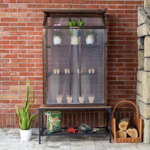 Greenspot Mini Drivhus til Altan og Terrasse 80 x 42 x 120 cm - Altandrivhus til overvintring af urter, blomster, frøplanter - Oprindelsesfarve Mørk R | CDON