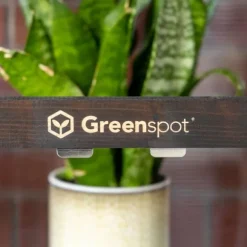 Greenspot Mini Drivhus til Altan og Terrasse 80 x 42 x 120 cm - Altandrivhus til overvintring af urter, blomster, frøplanter - Oprindelsesfarve Mørk R | CDON