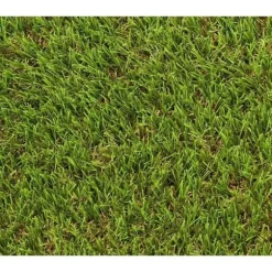 Gräs - EXELGREEN - 124414 - Natura 2D - 38mm / 1 x 5 m