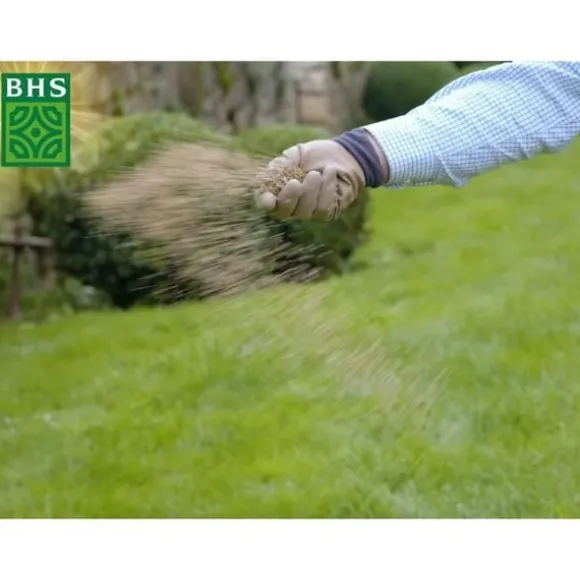 Græsplæne - BHS - Græsplænepåfyldning 3 kg