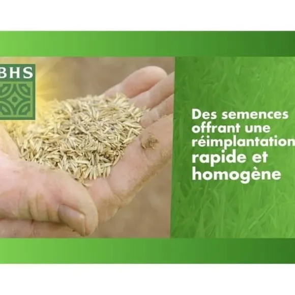 Græsplæne - BHS - Græsplænepåfyldning 3 kg