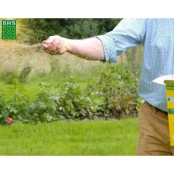 Græsplæne - BHS - Seaside Lawn 1kg | 40m² | Modstandsdygtig over for vind, tørke og salt | Smuk, attraktiv og robust sommergræsplæne.