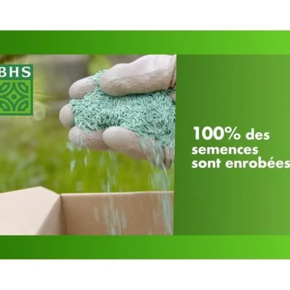 Græsplæne - BHS - Seaside Lawn 10 kg | Modstandsdygtig over for vind, tørke og salt | Smuk, attraktiv og robust sommergræsplæne.