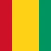 Guinea flag