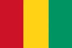 Guinea flag