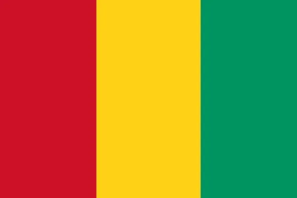 Guinea flag