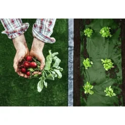 Haveagrotekstil 1,6 m x 50 m 90 g/m2 + 100 Plonos-nåle - sort og grøn