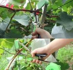 Havebind – 20 m bånd, enhåndsdesign til planter og buske (tomater/druer)