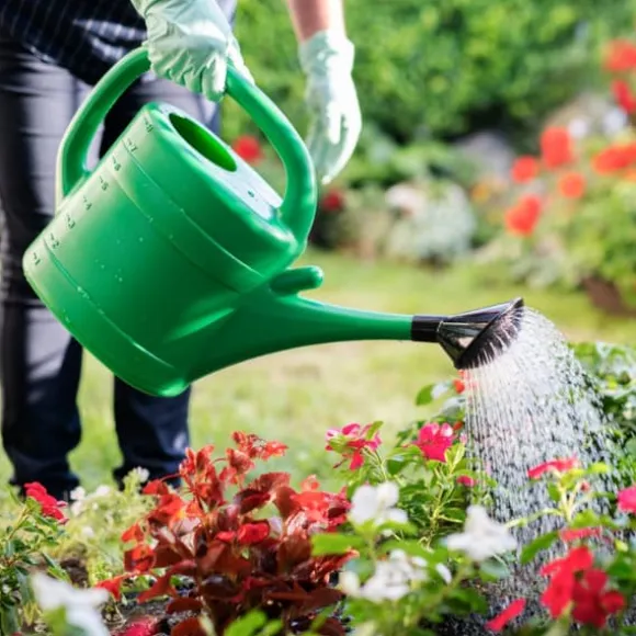 Haveblomstgødning Granulat Havestart 2kg