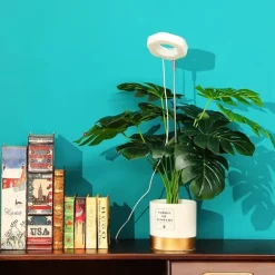 Hexagon Grow Lights til indendørs planter Varm hvid/hvid