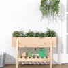 Højbed i massivt fyrretræ - Plantekasse til have og terrasse | Størrelse: 101x30x69 cm