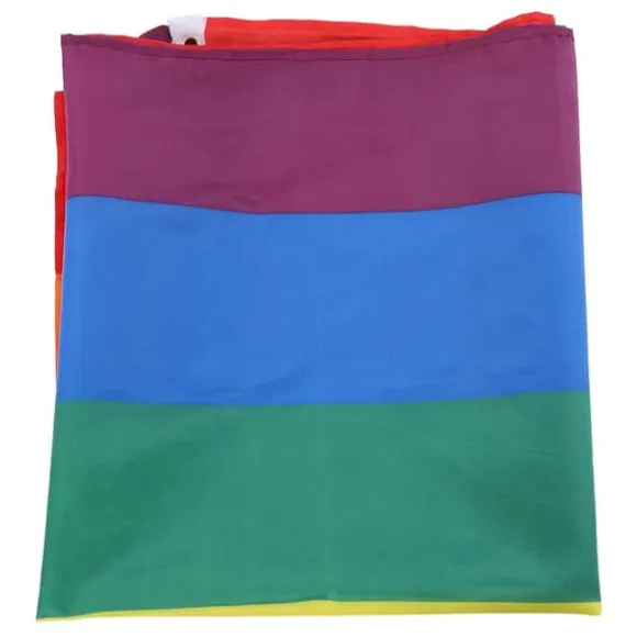 Håndviftende Regnbueflag Banner Polyester Gay Pride Lesbisk Flag med Øjer