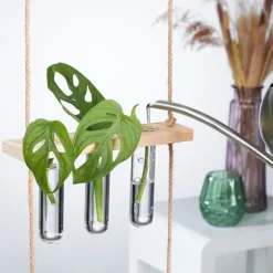 Hængende planteformeringsstation, 54x20x4,5 cm, Natur