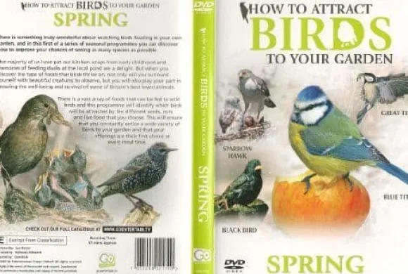 How To Attract Birds To Your Garden: Spr DVD Pre-Owned Region 2