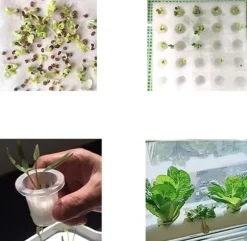 Hydroponisk dyrkningssystem - Indendørs gro-kit - 36 plantehuller - 2 niveauer - Til urter og grøntsager - Hvid
