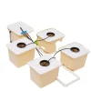 Hydroponisk Vækstsæt, 11L Spand Kapacitet, 220-240V Pumpe Spænding, 4W Pumpe Effekt, IPX8 Beskyttelsesniveau, Kompakt Størrelse