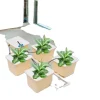 Hydroponisk vækstsysten, 4 plantebeholdere, effektiv DWC-system, højkapacitets vandpumpe