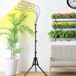 Indendørs plante vokse let med 4 hoveder, fleksibel svanehals. 10 niveauer, 3 tilstande