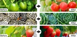 Indendørs plante vokse let med 4 hoveder, fleksibel svanehals. 10 niveauer, 3 tilstande