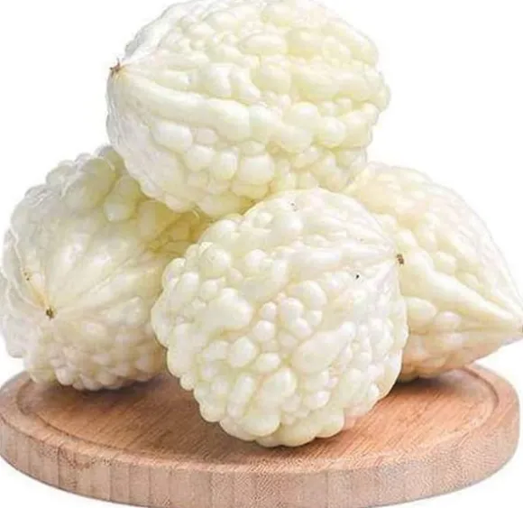 Kinesiske bittermelon hvide perlefrø til hjemmehave 10+ stk.