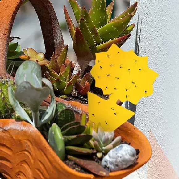 Klistret fælde til insekter med solsikkemønster gul 20-pak