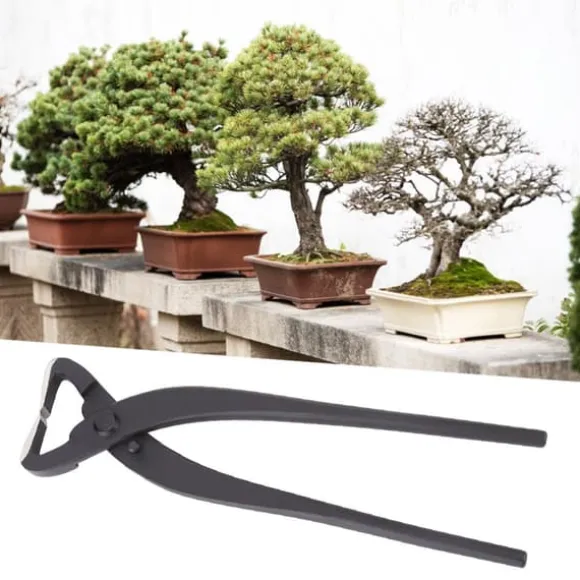 kvalitets stålstammedelersaks til begyndere Bonsai-modelleringsværktøj 210 mm