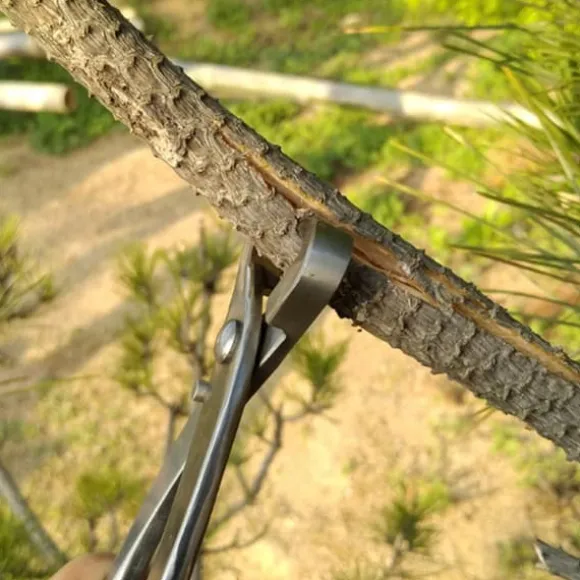 kvalitets stålstammedelersaks til begyndere Bonsai-modelleringsværktøj 210 mm