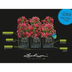LECHUZA Trio Cottage 30 Blomkruka - Komplett Kit Ljusgrå
