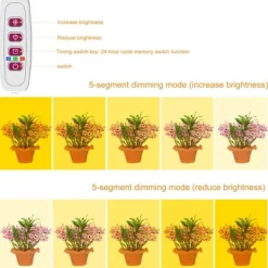 LED Plant Grow Light 5 dimbara lägen Timing USB LED-växtlampa för suckulenter krukväxter