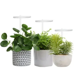 LED Plant Grow Light 5 dimbara lägen Timing USB LED-växtlampa för suckulenter krukväxter