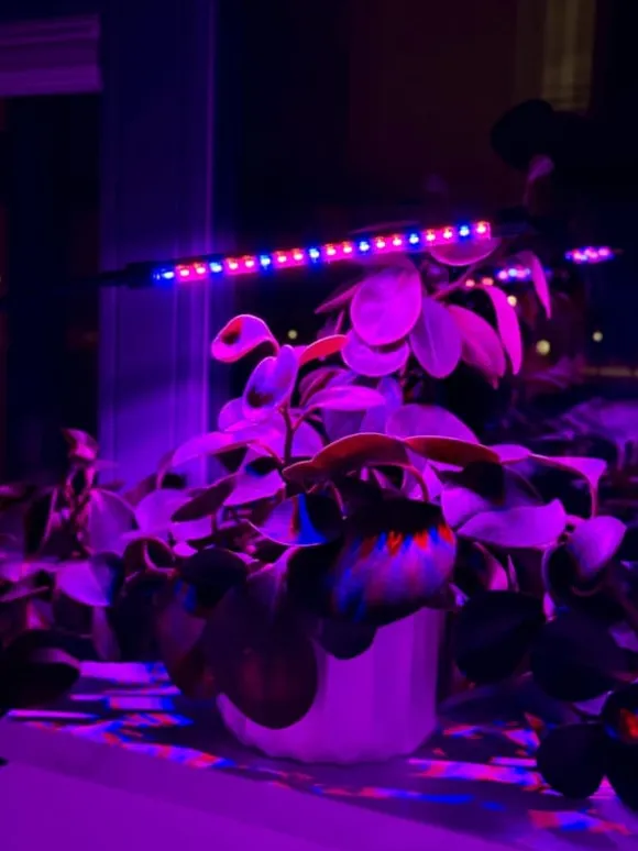 LED plantevækstlampe 20 dioder TIMER 9W hjemmedyrkning med netadapter
