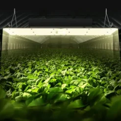 LED Vækstlampe, 300 W Dæmpbar, Højtydende Samsung 2B1B Diode til indendørs planter, Frøplante og Drivhusdyrkning. Daisy Chain Driver.