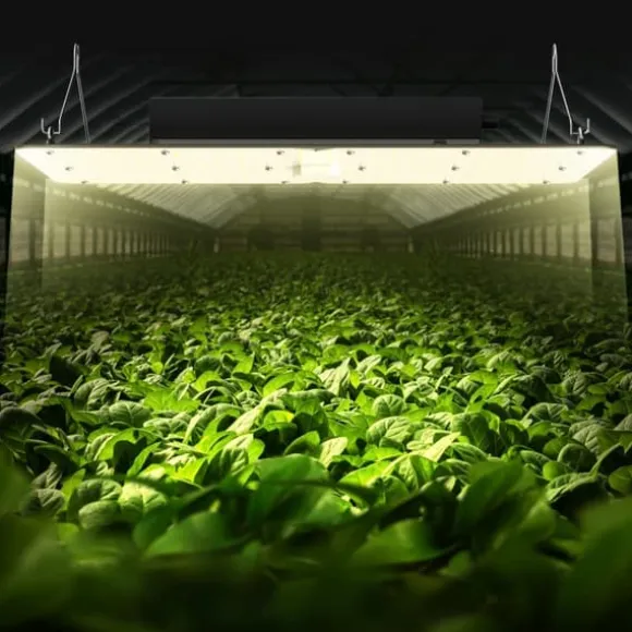LED Vækstlampe, 300 W Dæmpbar, Højtydende Samsung 2B1B Diode til indendørs planter, Frøplante og Drivhusdyrkning. Daisy Chain Driver.