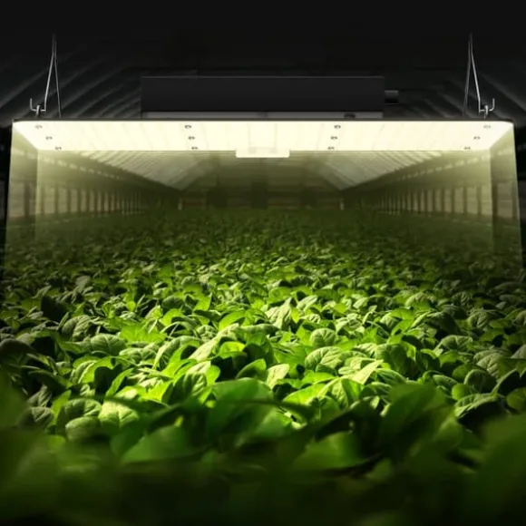 LED Vækstlys, 200 W fuldspektret dæmpbar, højtydende Samsung dioder til indendørs planter i væksttelt. Daisy chain driver til 2x4/3x3 ft.