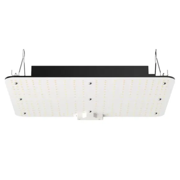 LED Vækstlys, 150W fuldspektrum dæmpbar, kraftfulde Samsung dioder til indendørs planter og drivhus. Daisy Chain driver til 3x3 ft telt.