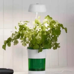 LED-plantelampe med selvvandende potte - fuldspektret plantebelysning