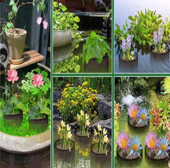 Mesh Vandplante Potte - Sæt med 4 til Vandhaver Round shape