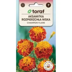 Morgenfrue Champion Flame 0,5g
