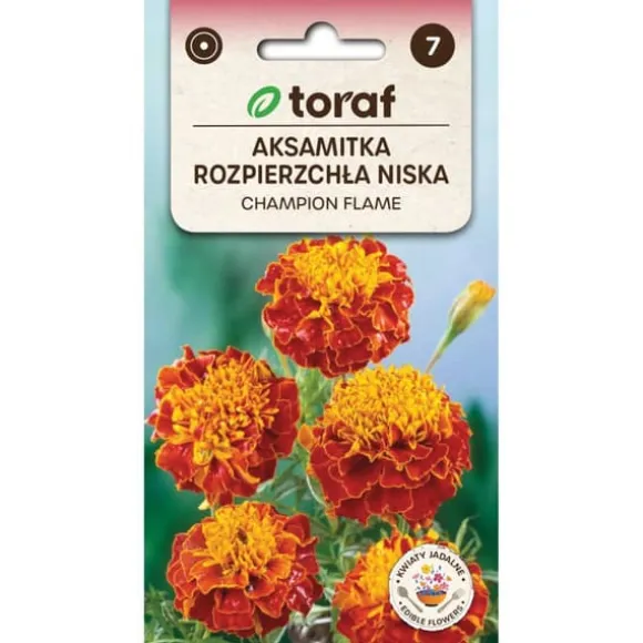 Morgenfrue Champion Flame 0,5g