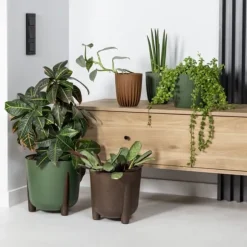 Moss ECO træ urtepotte, naturligt træ