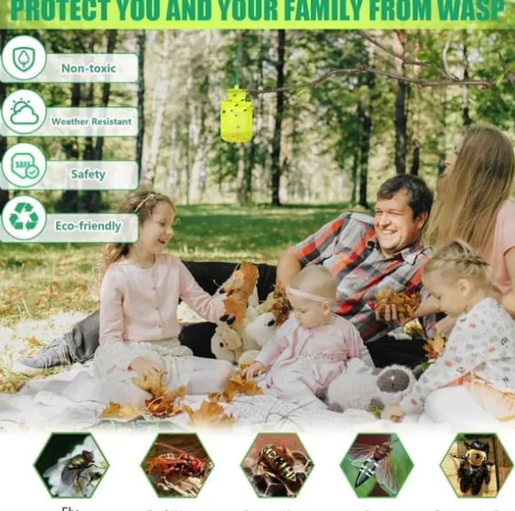 OBOSOE 2-pak Fluefælde / Hvepsefælde Outdoor – Genanvendelig Fluefanger med Agn til Hvepse, Fluer & Frugtfluer
