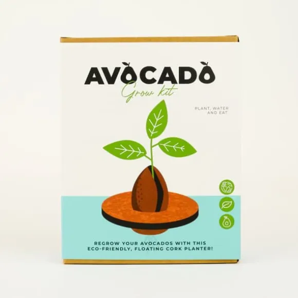 Odlingskit Avocado, Gift Republic Ltd.