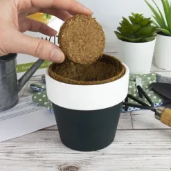 Odlingskit Öl Gift Republic Ltd.