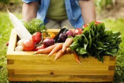 Optima Granuleret Hønsegødning 10l Naturlig ØKO-gødning Biovita