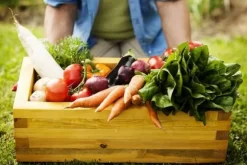 Optima Granuleret Hønsegødning 5l Naturlig ØKO-gødning Biovita