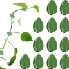 Pakke med 50 selvklæbende planteholdere, planteklemmer, klatreplanter, fastgørelsesklemmer til vægplanter til støtteplantning