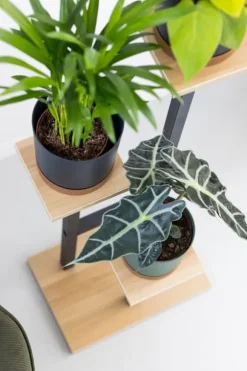 PEAK universal blomsterstander - sort, 3-etagers blomsterstander til 3 potter