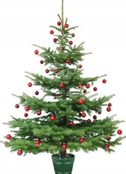 Planet 1 Juletræsfod | Grøn
