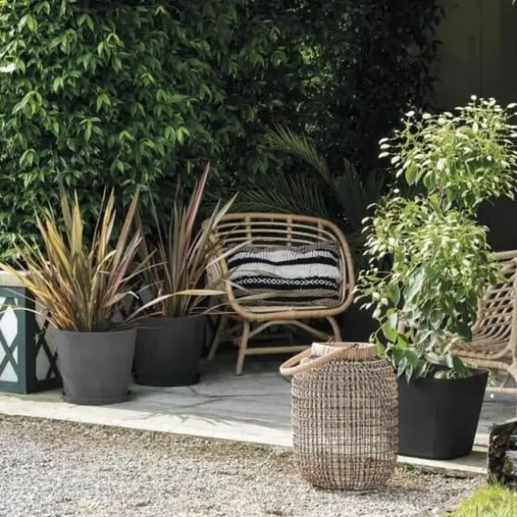 Plant pot Deroma
